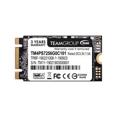 Ổ cứng SSD TEAMGROUP MS30 256GB M.2-2242 SATA main image
