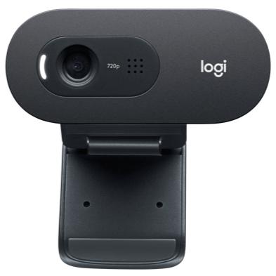 Webcam Logitech C505 slide image 0